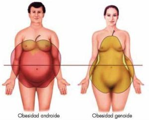 obesidad-genoide-androide